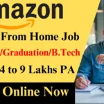 Amazon Work From Home Job